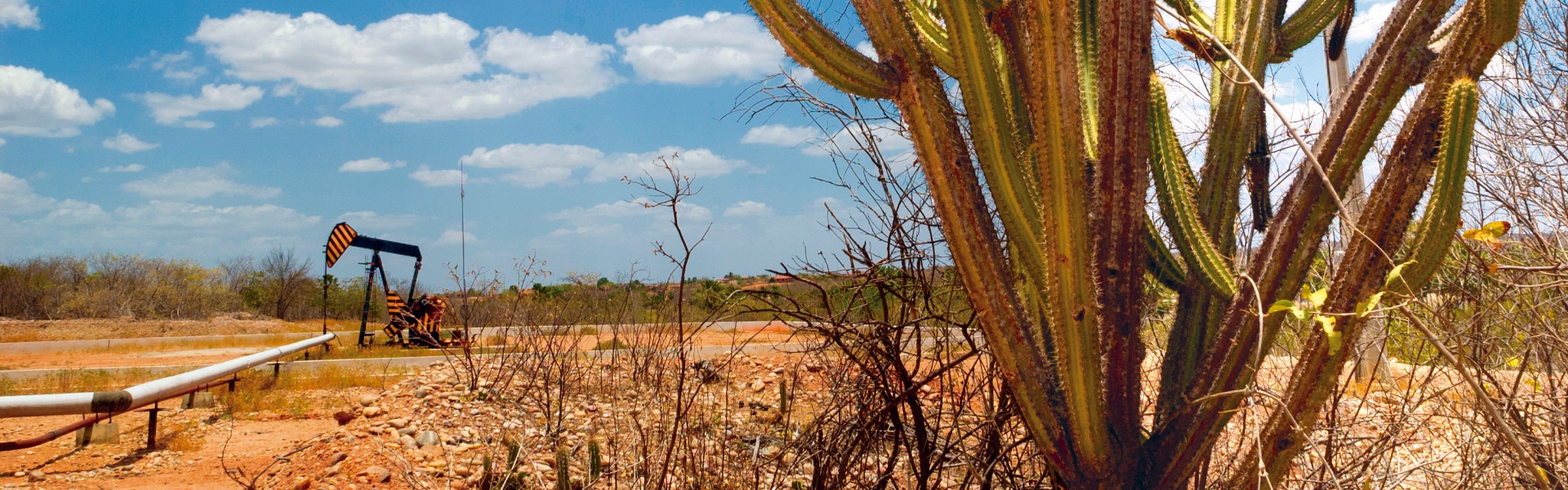 Mapa agrícola passa por transformação que pode durar até três décadas
