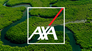A força do setor de seguros para destravar o capital climático