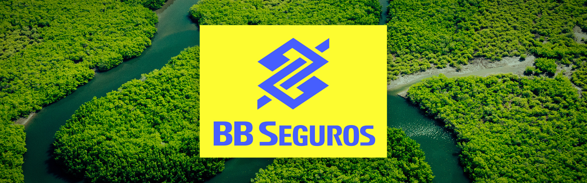 O setor de seguros como agente da transição climática