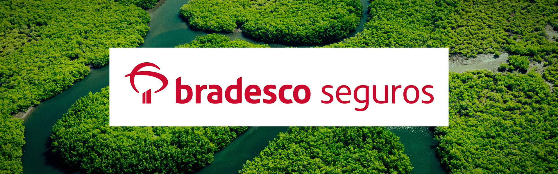Seguro e mudanças climáticas: como proteger, incluir e transformar