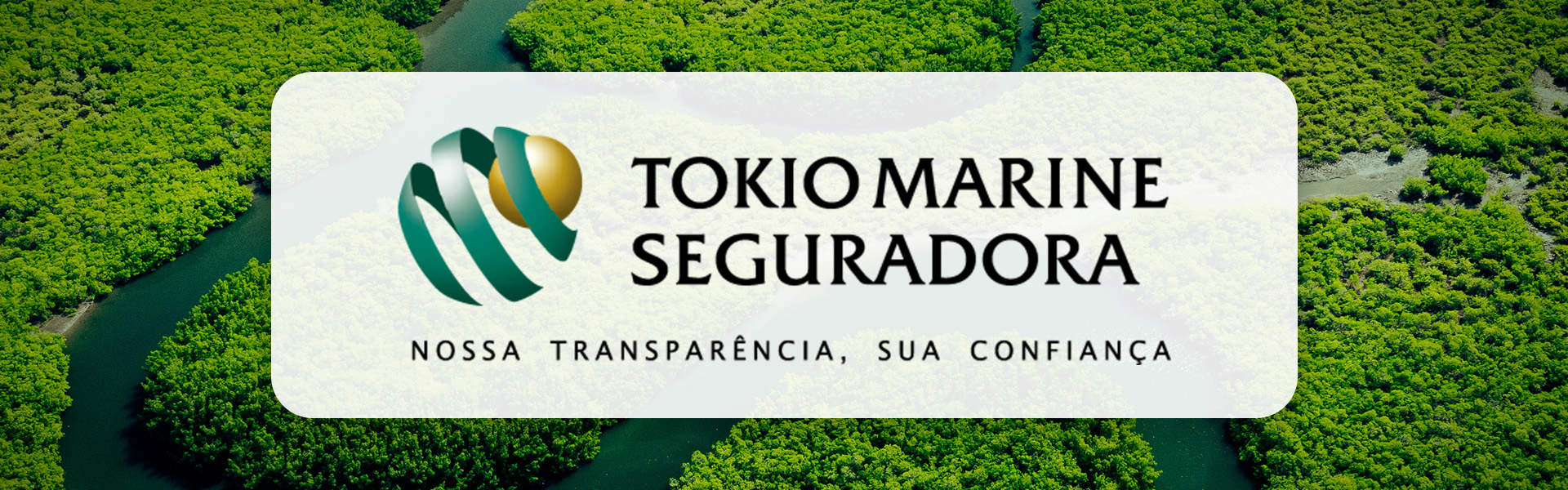 O seguro viabiliza novas tecnologias para a transição climática