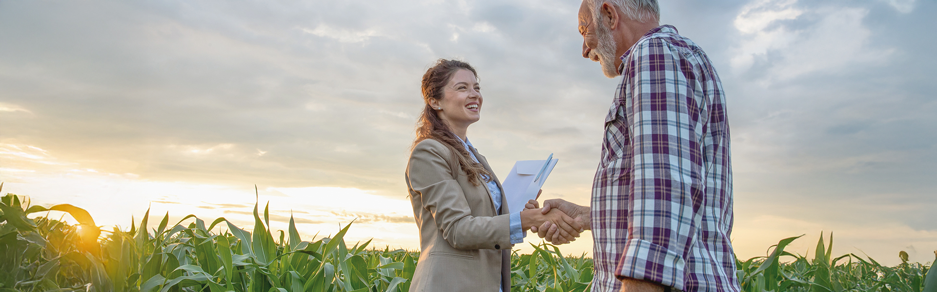 Respostas para ampliar a tração do seguro rural e torná-lo estratégico